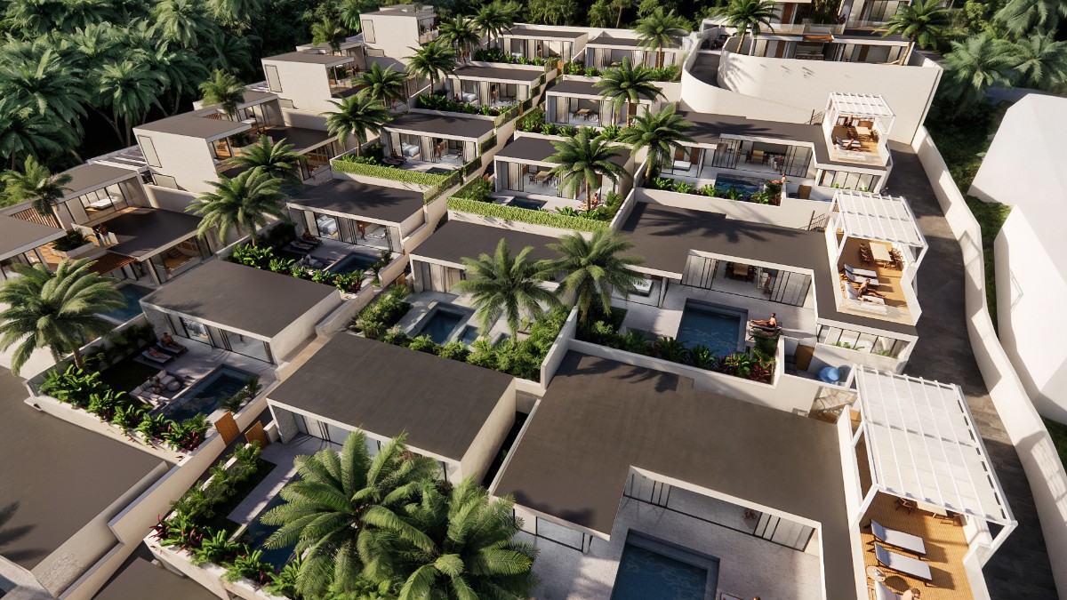 Oasis Harmony Life 6